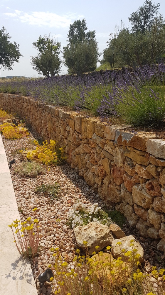 Natura Paysages Jardin Sur Mesure Lorgues 170920181529 20180620112646