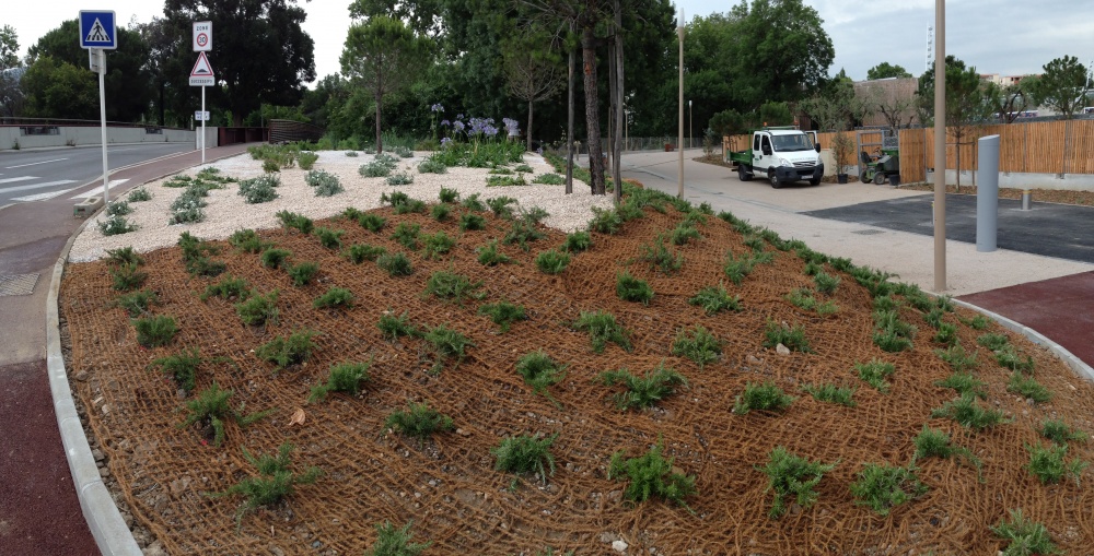 Natura Paysages Jardin Sur Mesure Lorgues Talus 11