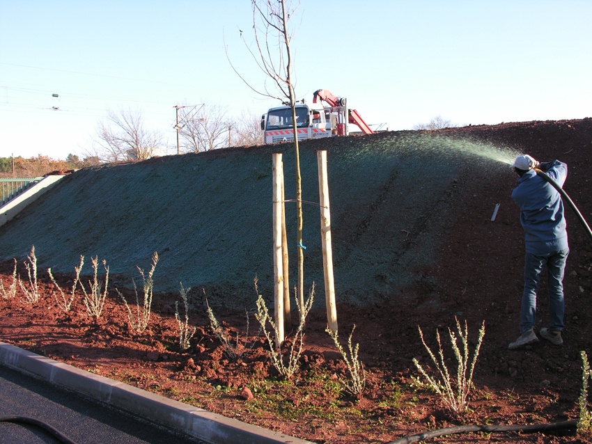 Natura Paysages Jardin Sur Mesure Lorgues Talus 13
