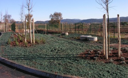 Natura Paysages Jardin Sur Mesure Lorgues Talus 14