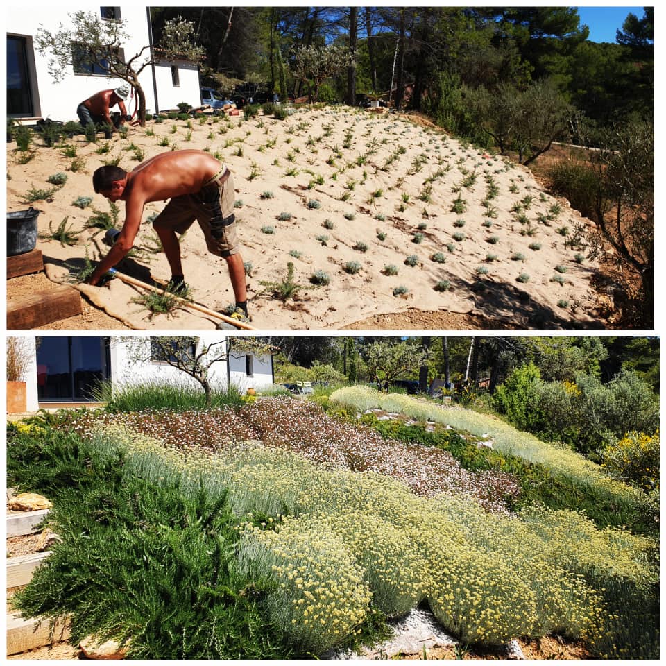Natura Paysages Jardin Sur Mesure Lorgues Talus 5