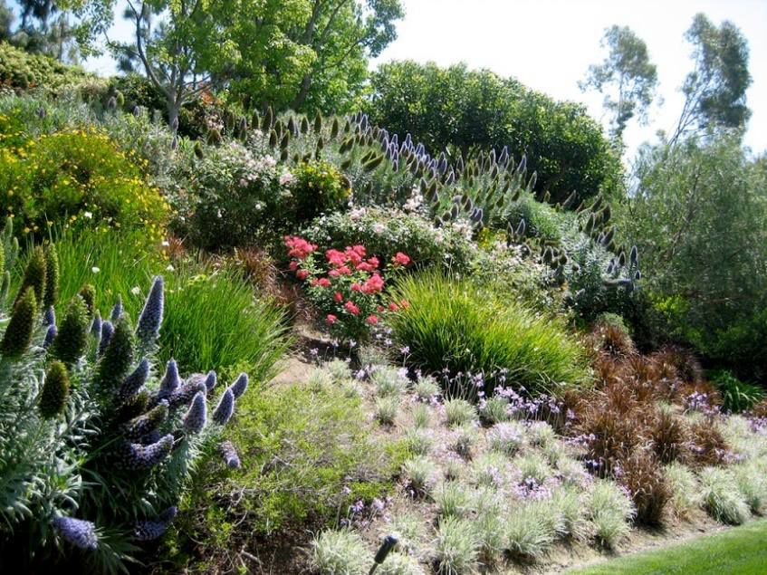 Natura Paysages Jardin Sur Mesure Lorgues Talus 8