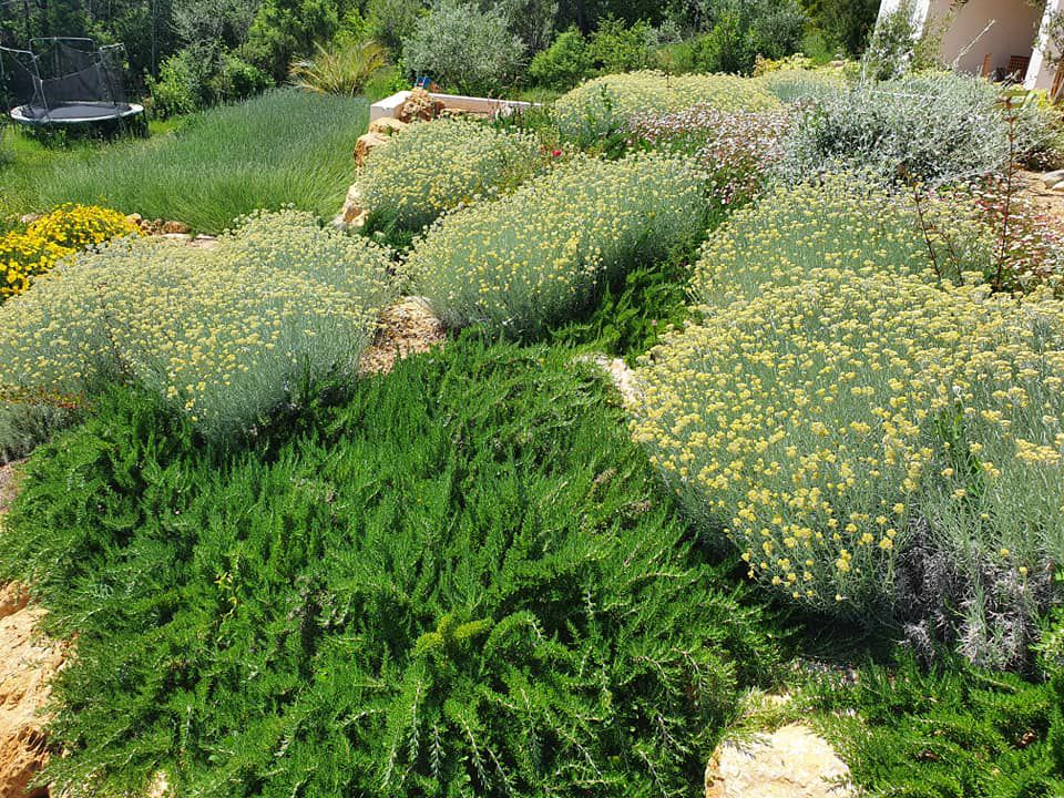Natura Paysages Jardin Sur Mesure Lorgues Talus 9