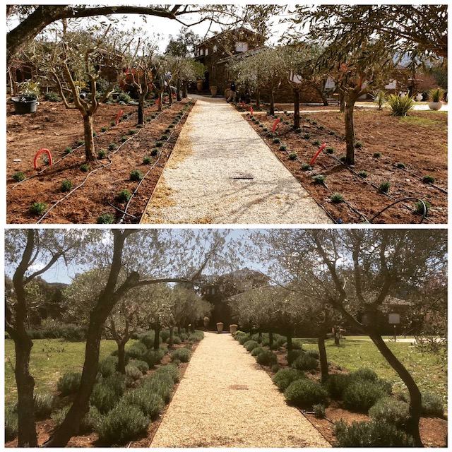 Natura Paysages Jardin Sur Mesure Lorgues Voie D Acces 5