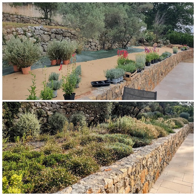 Natura Paysages Jardin Sur Mesure Lorgues Jardin Mediterraneen 2