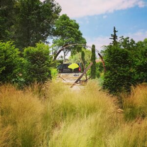 Natura Paysages Jardin Sur Mesure Lorgues 275976629 1668494223512342 5990994282458629822 N Natura Paysages Jardin Sur Mesure Lorgues 275976629 1668494223512342 5990994282458629822 N