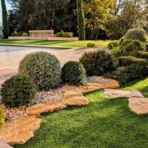 Natura Paysages Jardin Sur Mesure Lorgues 470216558 1308756813884114 6687911588605029083 N Natura Paysages Jardin Sur Mesure Lorgues 470216558 1308756813884114 6687911588605029083 N