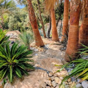 Natura Paysages Jardin Sur Mesure Lorgues 544128714 18082420379478948 1499074811159096527 N Natura Paysages Jardin Sur Mesure Lorgues 544128714 18082420379478948 1499074811159096527 N